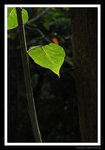 s20071028_0265