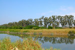 s20050213_0021
