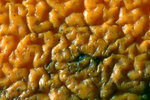 sDSC_2774