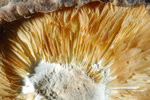 sDSC_2795