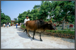 sp_122_001 copy