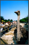 sp_122_005 copy