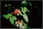 sp_122_014 copy