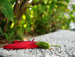 DSCN7179