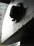 DSCN7233