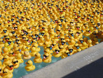 There really were a lot of them