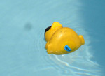 This was probly one of my duckies