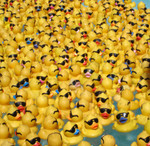 The Masses, one's looking at you