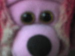This is the money... hi monkey