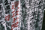 DSCF0409R
