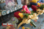 IMG_0528jj