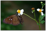 IMG_0728 copy