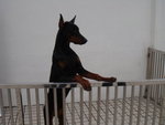 DSC00285