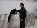 DSC00286