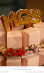 DSC_0233rb_resize