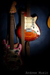 andrew music800