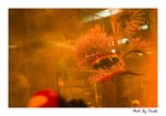 Crw_4816