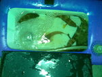 20071129(006)