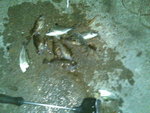 20071203(004)