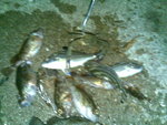 20071203(005)