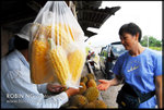 2006CNY@KCH_0609