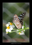 0828_BTY_01