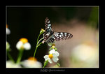 0828_BTY_02