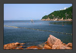 IMG_4853s