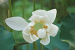 CSC_0389