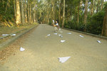_DSC5415 copy