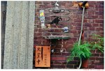 Photo31_6