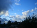 CIMG0203