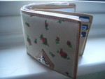 fake wallet  ._.