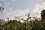 DSC_0165