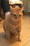 IMG_1825