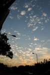 DSC_7279