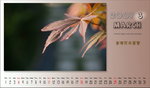 March