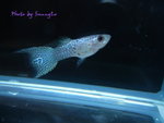P1080460