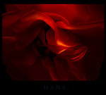 hana 1