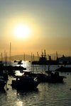 _MG_4666a