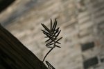 IMG_2320