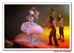 DSC_9108 copy
