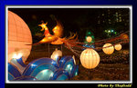 DSC_1038 copy