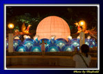 DSC_1044 copy