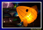 DSC_1081 copy