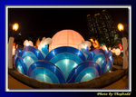 DSC_1122 copy