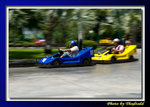 DSC_8338 copy