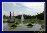 DSC_8362 copy