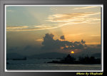 DSC_8012 copy