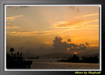 DSC_8015 copy